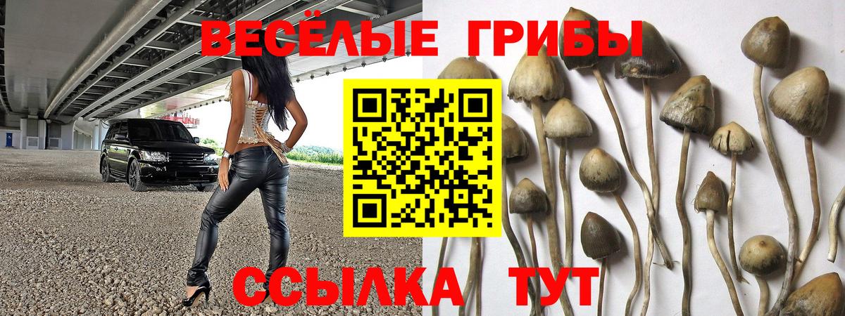 Галлюциногенные грибы Cubensis Красноуфимск